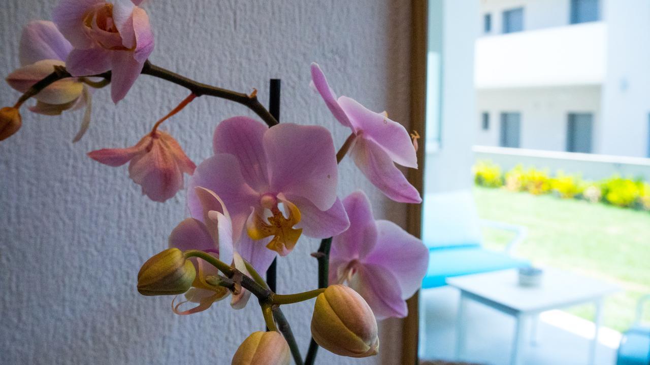 Costa Domus Blue Luxury Apartments Nikiti  Luaran gambar